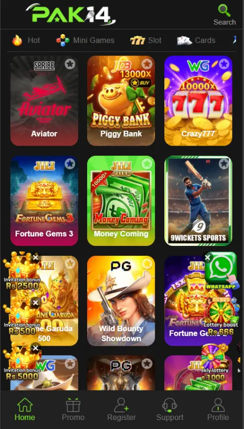 Pak14 Game Overview