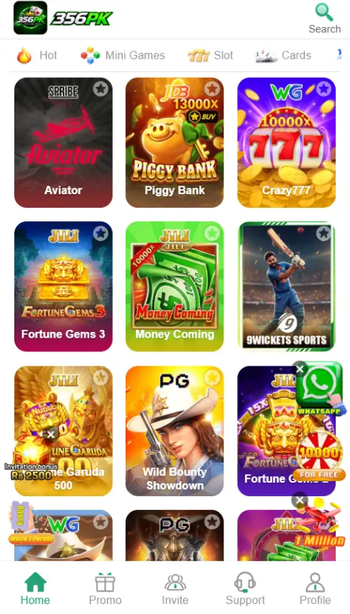 356Pk Game Overview